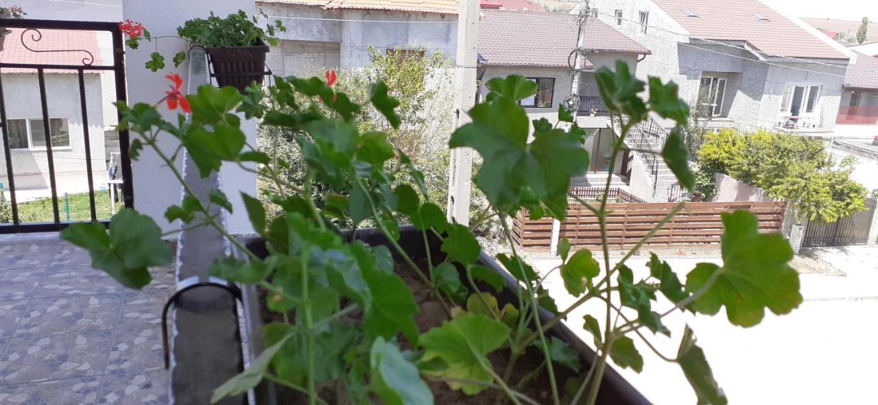 Sunshine Apartments Năvodari Εξωτερικό φωτογραφία