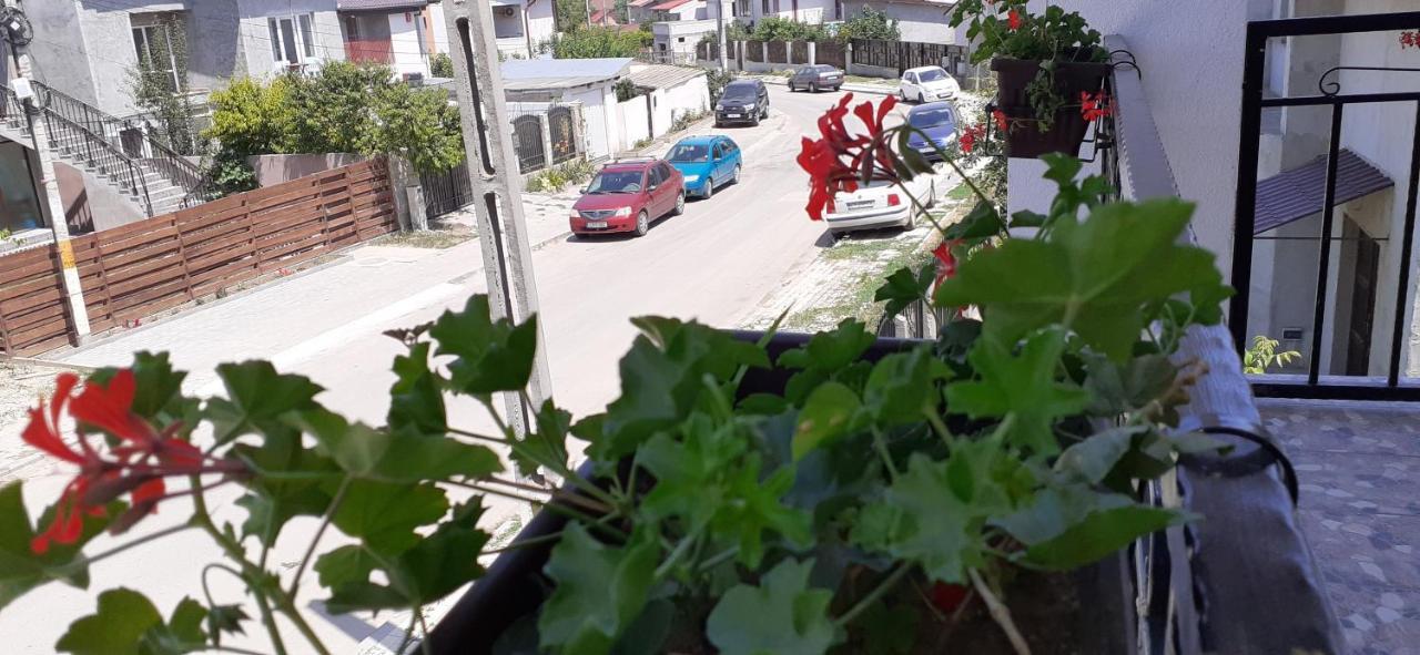 Sunshine Apartments Năvodari Εξωτερικό φωτογραφία