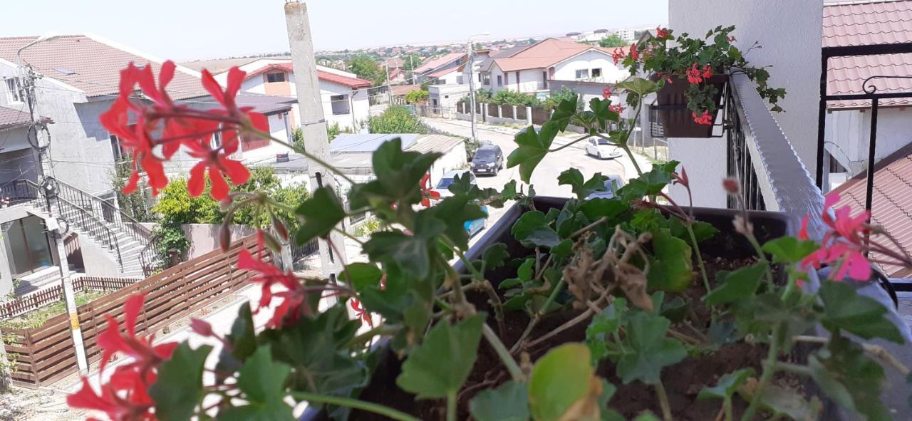 Sunshine Apartments Năvodari Εξωτερικό φωτογραφία