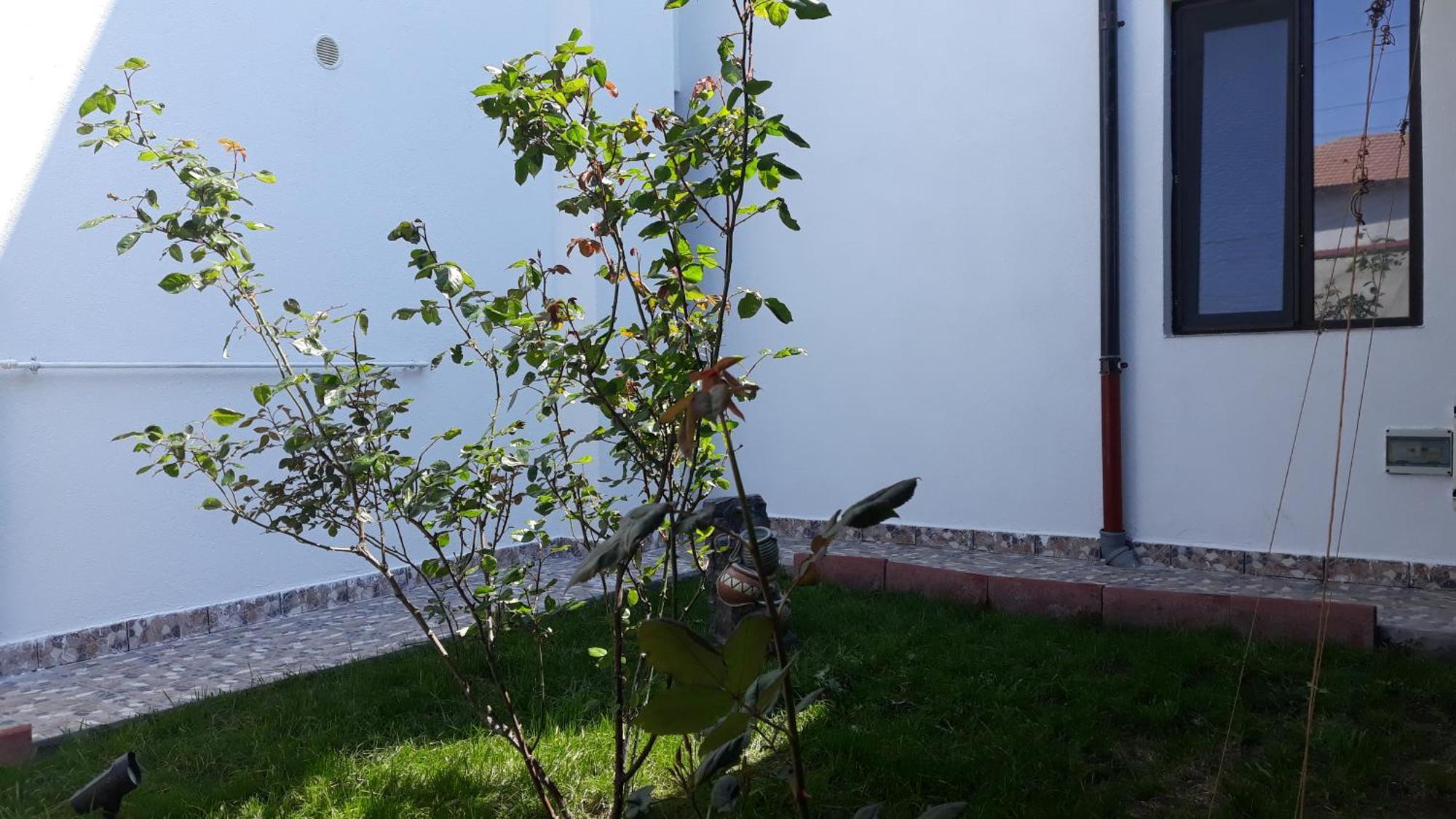 Sunshine Apartments Năvodari Εξωτερικό φωτογραφία